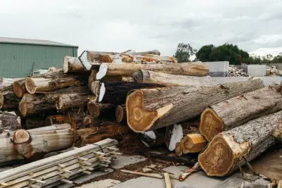 Is It Cheaper To Buy Wood At A Lumber Yard?